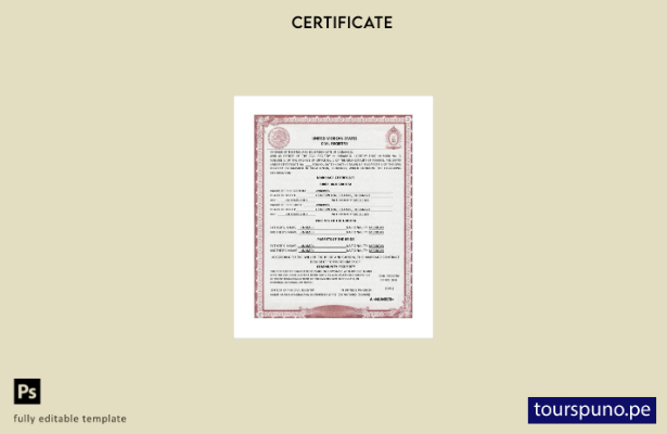 Plantilla de acta de matrimonio del registro civil de los Estados Unidos Mexican